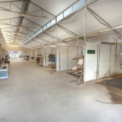 Diamond K Ranch