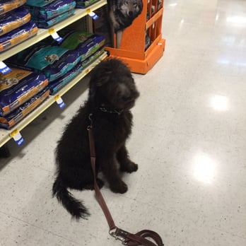 PetSmart - Pet Training Near Me - Las Vegas, Nevada PetSmart - Pet Training Near Me - Las Vegas, Nevada