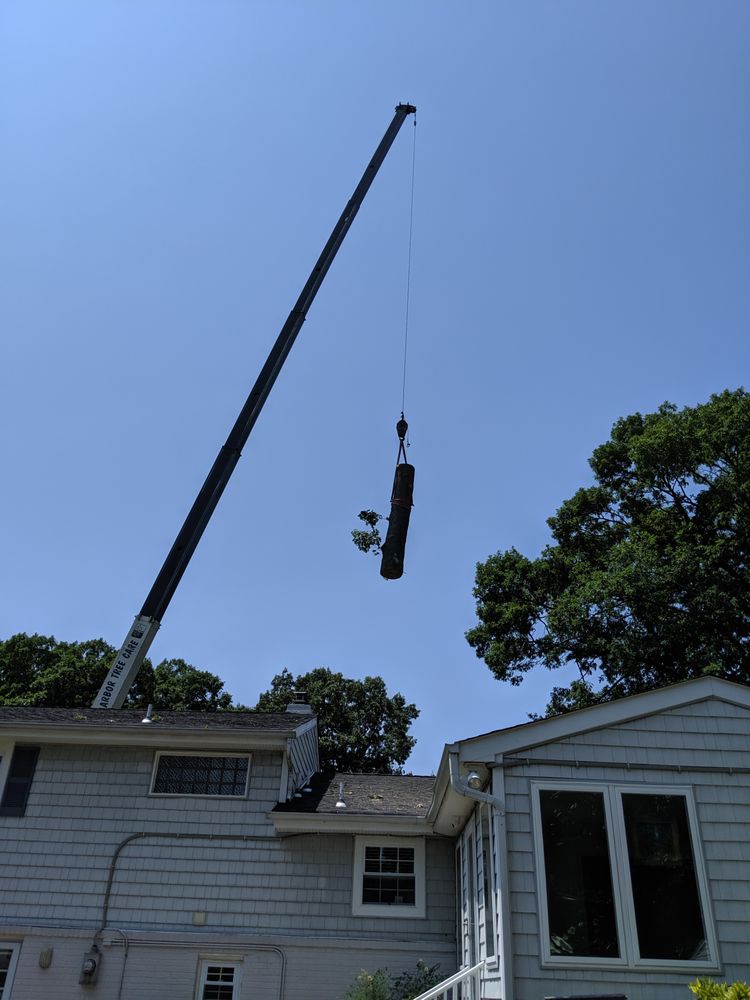 ARBOR TREE CARE 11 Photos 2576 Aviator Dr, Virginia Beach, Virginia