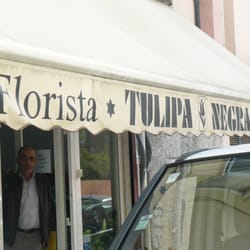 Túlipa Negra