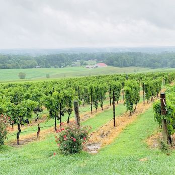 Raffaldini Winery - Wineries Near Me - Ronda, North Carolina