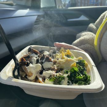 Toasted Oat Cafe - Packed Bowl!!! - Sandwiches Near Me - Newington, Connecticut Toasted Oat Cafe - Packed Bowl!!! - Sandwiches Near Me - Newington, Connecticut