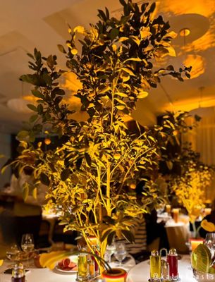 Habibi The Restaurant by null