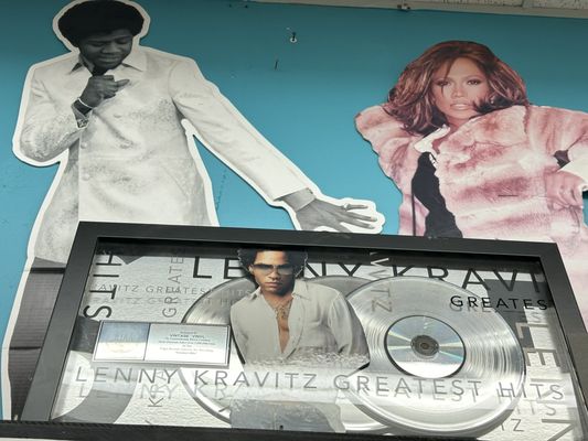 Vintage Vinyl by null