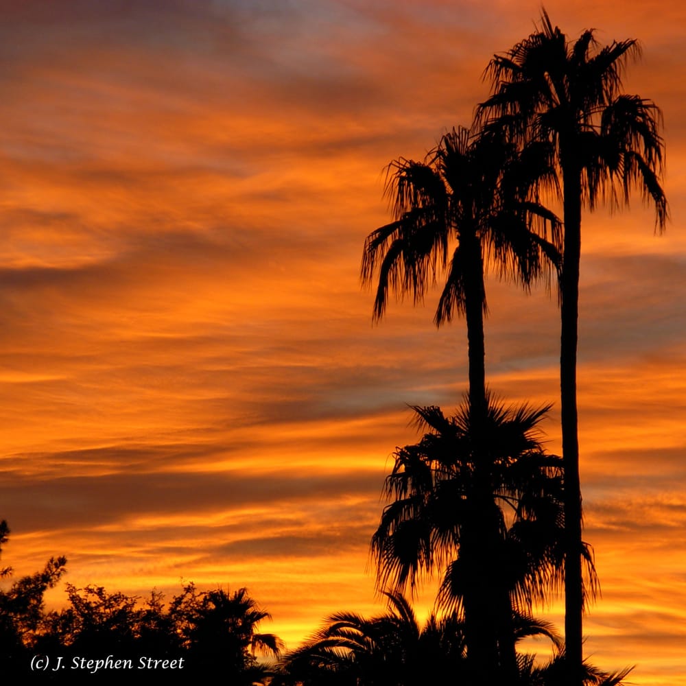 Law Office of Stephen J Street - social services organization in Honolulu, HI