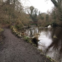 Colinton Dell