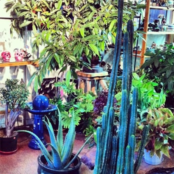 The Herbery - Nurseries & Gardening Near Me - Denver, Colorado