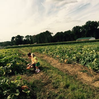 Riamede Farm - Pick Your Own Farms Near Me - Chester, New Jersey Riamede Farm - Pick Your Own Farms Near Me - Chester, New Jersey
