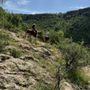 Photo of Rancho Xotolar