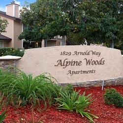 Alpine Woods