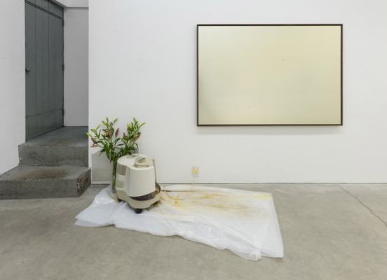 Susan Hobbs Gallery by null