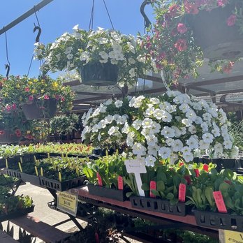 The Garden - Outside - Nurseries & Gardening Near Me - Santa Cruz, California