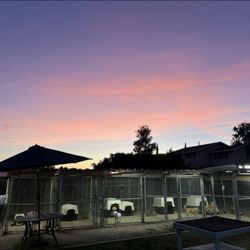 Double T Kennels - Sunset at Double T Kennels