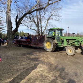 Drysdale's - The tractor that takes you out to cut the - Christmas Trees Near Me - Egbert, Ontario