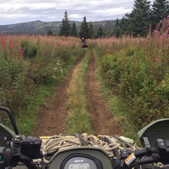 Alaska Wilderness 4-Wheeler Tours - Tours Near Me