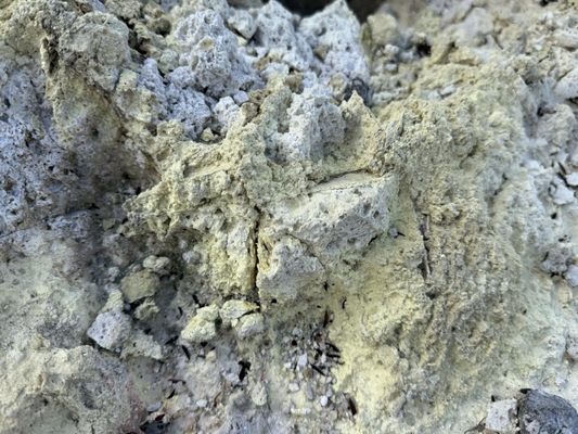 Hell's Gate Geothermal Reserve and Mud Spa by null