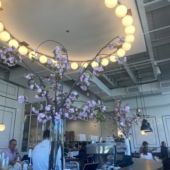 Tatte Bakery & Cafe | Wellesley - Breakfast & Brunch Near Me - Wellesley, Massachusetts