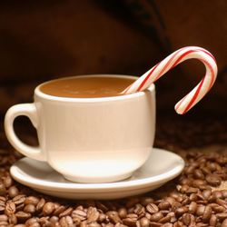 Goodness Flows - Bryan's Café - Peppermint Drip Brew