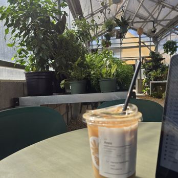 Creature's Plants and Coffee - Seasonal: harvest spice latte with macadamia nut milk - Coffee & Tea Near Me - Los Angeles, California Creature's Plants and Coffee - Seasonal: harvest spice latte with macadamia nut milk - Coffee & Tea Near Me - Los Angeles, California