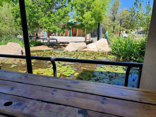 ABQ BioPark Aquarium by null