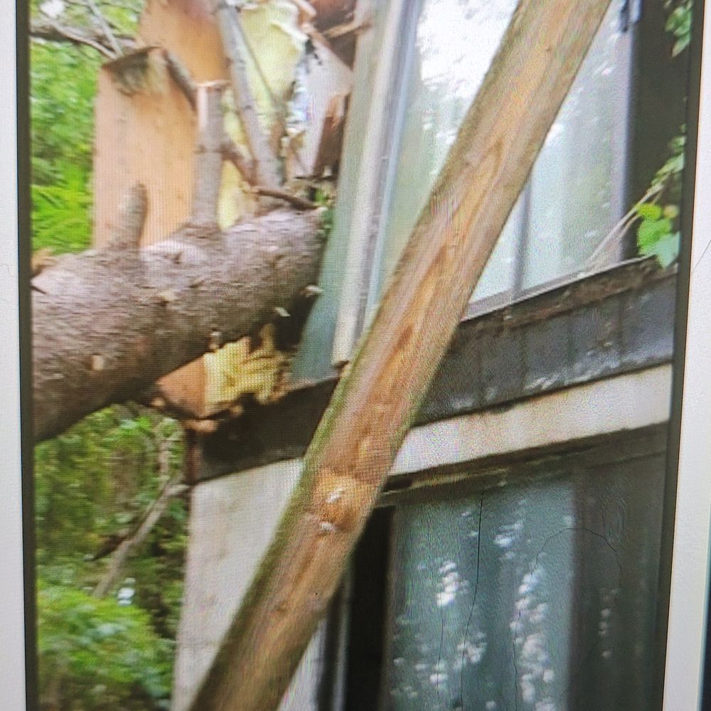 Widmers Tree Service - Wall pushed in. And, there used to be a deck there... - Tree Services Near Me Widmers Tree Service - Wall pushed in. And, there used to be a deck there... - Tree Services Near Me