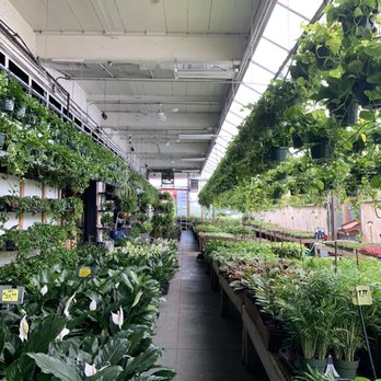 Brooklyn Plantology By Lapide - Nurseries & Gardening Near Me - Brooklyn, New York