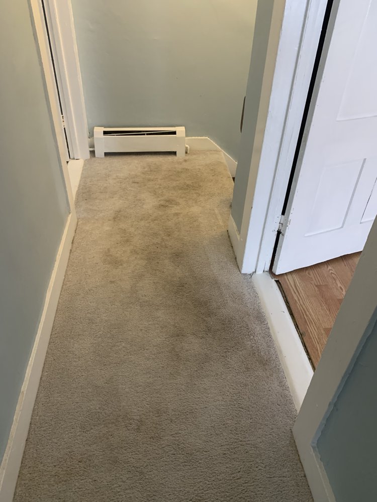 MARLENE’S GREEN CARPET CLEANING Updated August 2024 24 Photos