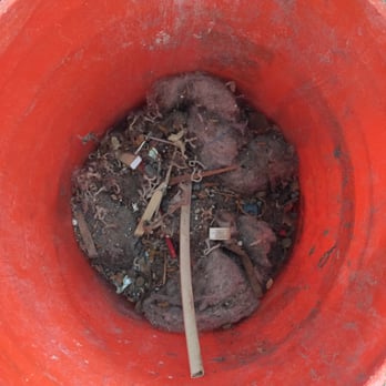 Steam Pro - Some of the larger sediment, etc. that was in the vents. - Carpet Cleaning Near Me - Englewood, Colorado Steam Pro - Some of the larger sediment, etc. that was in the vents. - Carpet Cleaning Near Me - Englewood, Colorado