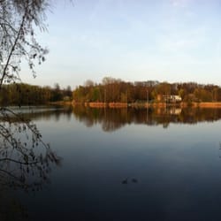 Hohnsensee
