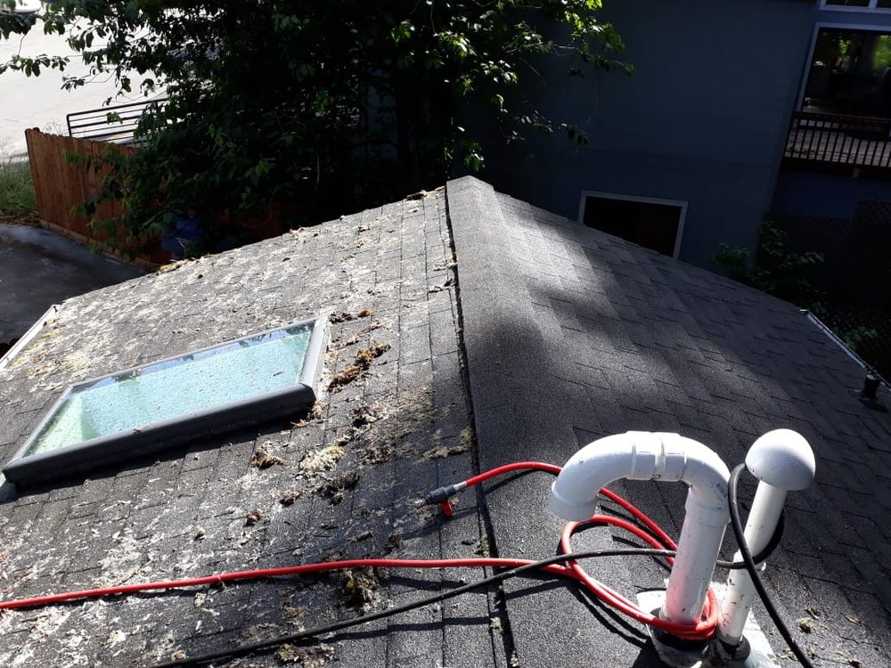 Slide of Corradini LLC Roof Restoration & Exteriors