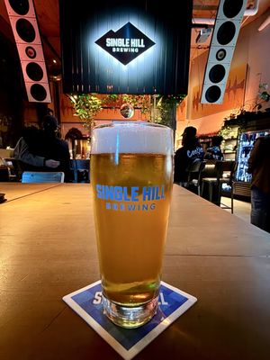 Single Hill Commons by null