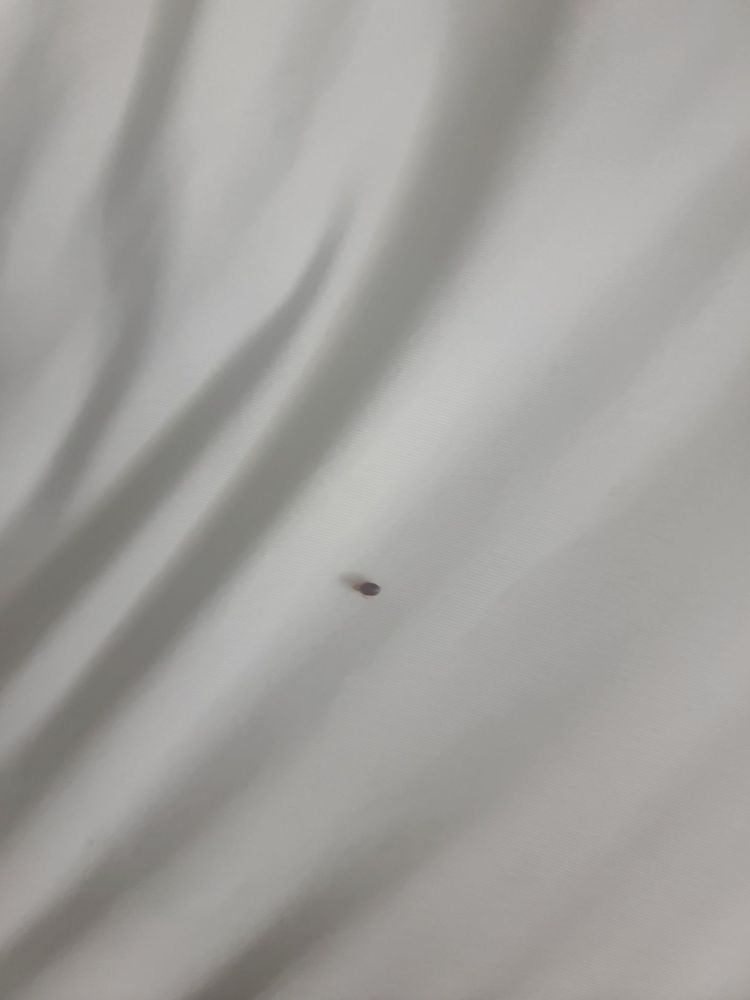 COMFORT SUITES NEAR GETTYSBURG BATTLEFIELD VISITOR CENTER - Updated