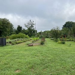 Veterans Healing Farm - Herb garden