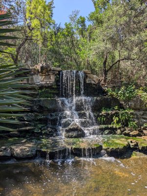 Zilker Botanical Garden by null