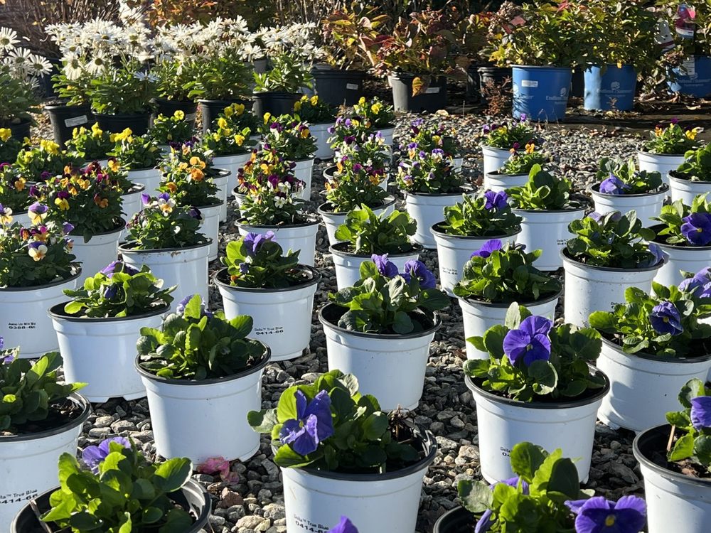 PENINSULA HARDWOOD MULCH Updated October 2024 7800A Richmond Rd