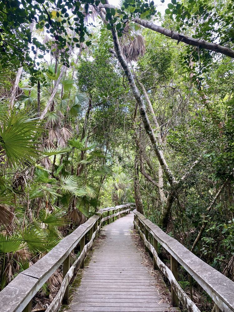 Mahogany Hammock Trail Image