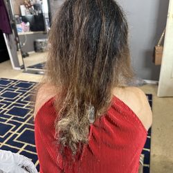 La Bella Hair Salon - The back of moms hair while she was experiencing fallout and breakage, before the hair cut