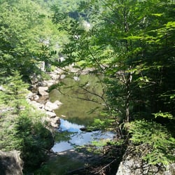 Dismal Pool - Dismal Pool.