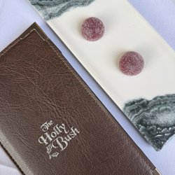 Holly Bush - free raspberry jellies