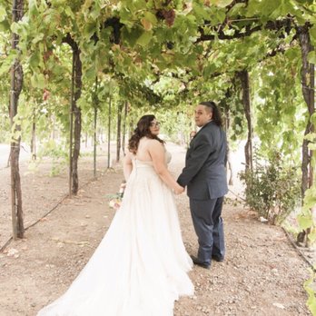Abby Wilcox Weddings - Event Photography Near Me