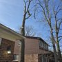 Photo of Coffman's Tree Service