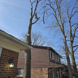 Coffman's Tree Service - Coffmans tree service