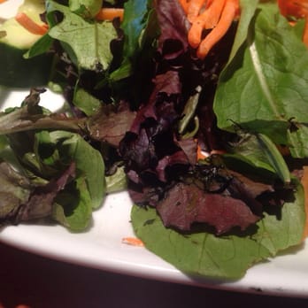 Cheddar's Scratch Kitchen - Wilted limp gross house salad.  Disappointed. - American Near Me - San Angelo, Texas