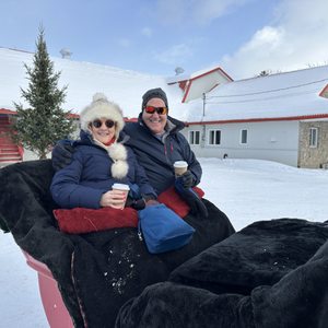 Calèches Québec on Yelp