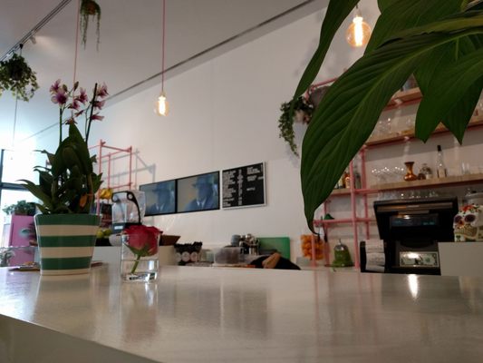 Elaine’s Deli by null