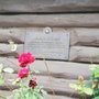 Photo of Bethlehem Rose Garden