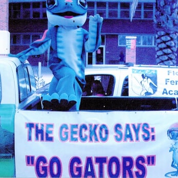 GEICO Insurance Agent - Insurance Near Me - Gainesville, Florida GEICO Insurance Agent - Insurance Near Me - Gainesville, Florida