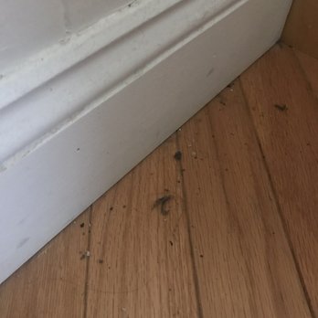 HW Cleaning Services - This was not a hidden area of the house or anything. I saw this dirt when I walked into the room. - Home Cleaning Near Me - Boston, Massachusetts