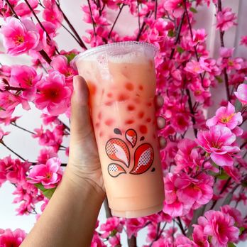 Kung Fu Tea - Coffee & Tea Near Me - Denver, Colorado Kung Fu Tea - Coffee & Tea Near Me - Denver, Colorado