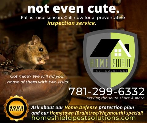 Home Shield Pest Solutions